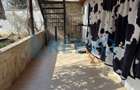 Casă/Vilă de vânzare în comuna Târgu Trotuș, județul Bacău. - 50
