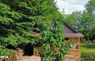 De vanzare cabana cu teren in zona Remetea Chioarului - 1