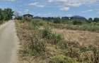 Teren 8000 mp intravilan rezidential Adunatii Copaceni (Mogossesti ) - Mogosesti (Giurgiu)