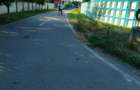 Teren intravilan de vanzare, Ruginoasa, apriape de DN - 3