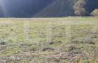 Teren intravilan, 5855 mp, zona Vatra Dornei
