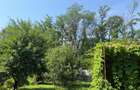 Casa din lemn masiv | 3 camere | Teren 5.000mp -Berceni Prahova - 4