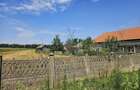 Teren intravilan 5.721 mp cu casa si anexa | Deschidere 52,6 m | Asfalt la poarta | Frumoasa, Teleorman - 5