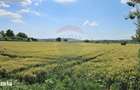 Teren 15,000mp Salcea-Prelipca, Suceava - 3