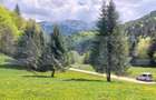 Teren exceptional de vanzare, 5170 mp  zona Plaiul Foii, Zarnesti