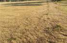 Teren de 2100 mp, în Rădăcinești - 7