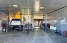 SERVICE AUTO Ultramodern (Business ultraprofitabil la cheie) - 9