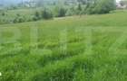 Teren intravilan, 9964 mp, zona Vatra Dornei - 3