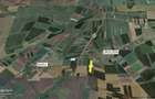10 ha teren arabil de vanzare Sagu - Cruceni - 2