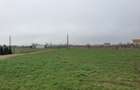 Teren intravilan de vanzare zona KM 5