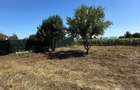 Teren intravilan 610 mp + cota drum | Ciofliceni - Snagov | Toate utilitatile la 100 m - 7