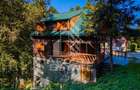 Pensiune, casa de vacanta, 6 camere, statiunea Rausor din Hunedoara - 1