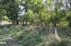 TEREN IN VLADESTI - NATURA SI DOAR 7 KM PANA IN CENTRUL RAMNICULUI - 4
