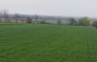 Teren 6000mp, 30 ml deschidere la DN 2H, Horodnic de Jos, Ra - 2