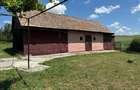 Casa intabulata in Boldut - 4