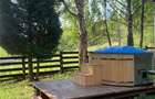 Cabana la munte, Colibita, jacuzzi, foisor - 19