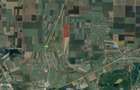 Vanzare teren agricol - 4