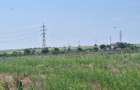 OCAZIE! EFORIE NORD, TEREN DE 1.666 MP, PRET 185.000 EURO - 18