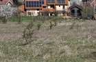Vand teren intravilan - 3