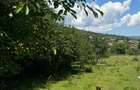 Oaza de lini?te in Valea Doftanei Teren plat - 2