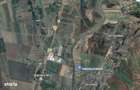 Teren extravilan Banca, ID: R3198243 - 1