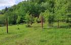 BEREVOIESTI (AG) SE VINDE TEREN 834 MP IN zona Pastravaria Rausor - 4