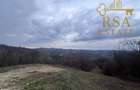Teren 2500 mp Feteni-Valcea, priveliste spectaculoasa, zona linistita - 4
