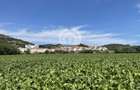 Teren intravilan Medias | 13700 mp | Deschidere 242 ml la drum public - 2