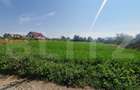 Teren intravilan de vanzare, 3800 mp, zona Vest - 5