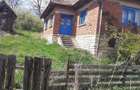 Casa de vanzare - Topa Mica - 1