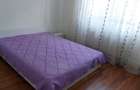 Apartament cu 2 camere de inchiriat in Craiovita Noua - Zona Materna - 4