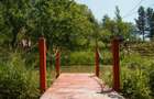 Vand cabane la munte - 6