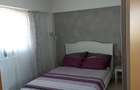 Apartament 2 camere zona Lapus Arges - 2