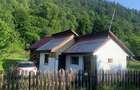 Teren la munte 2000 mp, 12m deschidere, Tarcau Neamt, Poiana Soarelui casa din lemn neterminata, curent si livada, la marginea padurii - 4