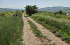 Teren intravilan Tomesti-Goruni - 2