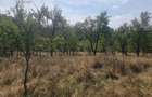 Teren intravilan  4.512 m  – Nucșoara  Argeș, 2 căi de acces, toate utilitățile.
