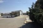 Teren 2518 mp cu casa, garaj, atelier - 5