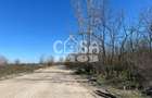 Teren extravilan padure - 6.000 mp, vizavi de Insula Crapilor, Ionest - 6