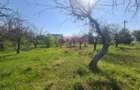 Teren de vanzare in Campina - 4