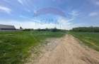 Teren 545,000mp Dragomiresti-Vale - 5