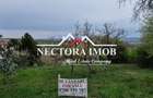 NECTORA IMOB-Teren Zona Podgoria,3400 mp (Intravilan + Extravilan)