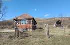 Casa individuala l Teren 2698 MP l Hagau - 1