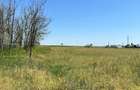 Teren intravilan 5.000 mp DN2/E85 nod A7 vanzare / inchiriere ATR