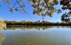 Teren 6000 mp pozitie deosebita lacul Baneasa adancime 140 m - 16