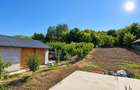 Casa de vanzare Odaia Manolache | 950 mp teren | 74 mp | Livada
