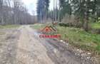 Teren extravilan Valea Doftanei 20.500 mp 6e mp - 3