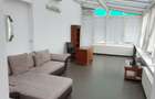 Vanzare apartament penthouse Gradina Icoanei - 9