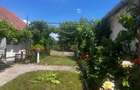 Casa de vanzare cu 2 parcele Jamu Mare (70 km de Timisoara) - 2