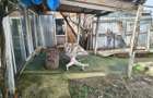EFORIE SUD TUZLA P+1,LA LAC 440 MP PRET 95000 EURO - 16