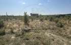 Teren zona Magic Trivale intravilan 1040 mp - 1